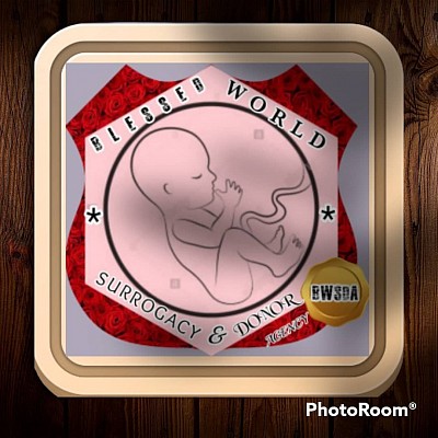 BLESSED WORLD SURROGACY ENTERPRISE