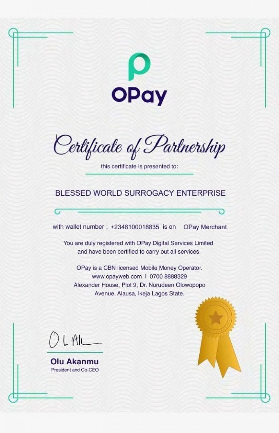 BLESSED WORLD 🌎 SURROGACY ENTERPRISE OPAY FINANCIAL PAYMENT CERTIFICATION